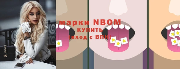 бошки Бородино