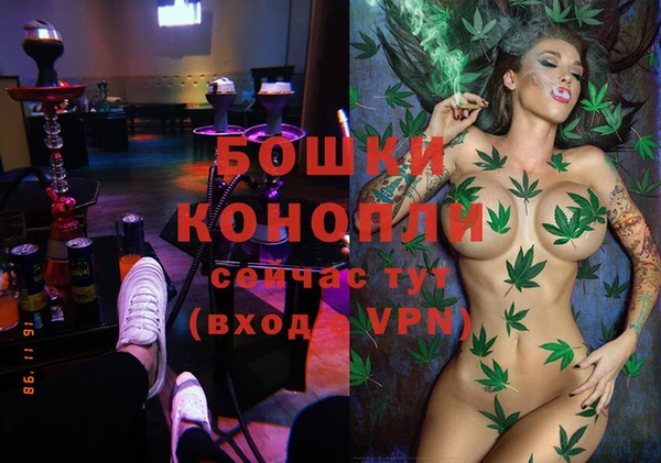 бошки Бородино