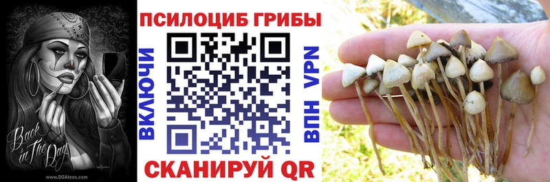 Галлюциногенные грибы мухоморы  Шумиха 