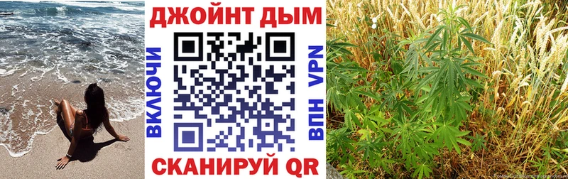 Бошки Шишки AK-47  МЕГА ссылка  Шумиха 